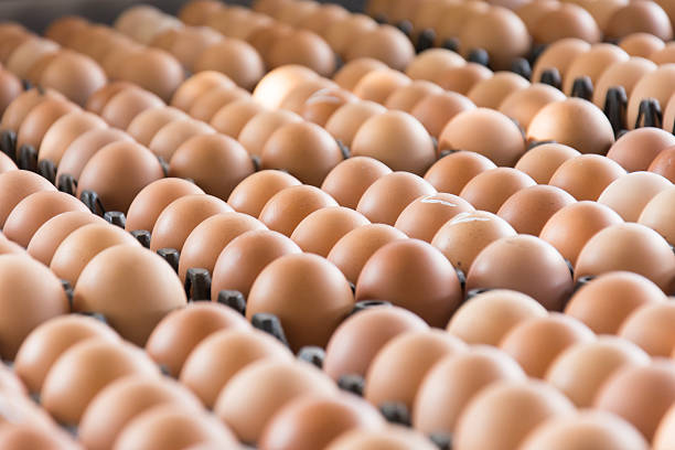 Farm Fresh Eggs (Tray)